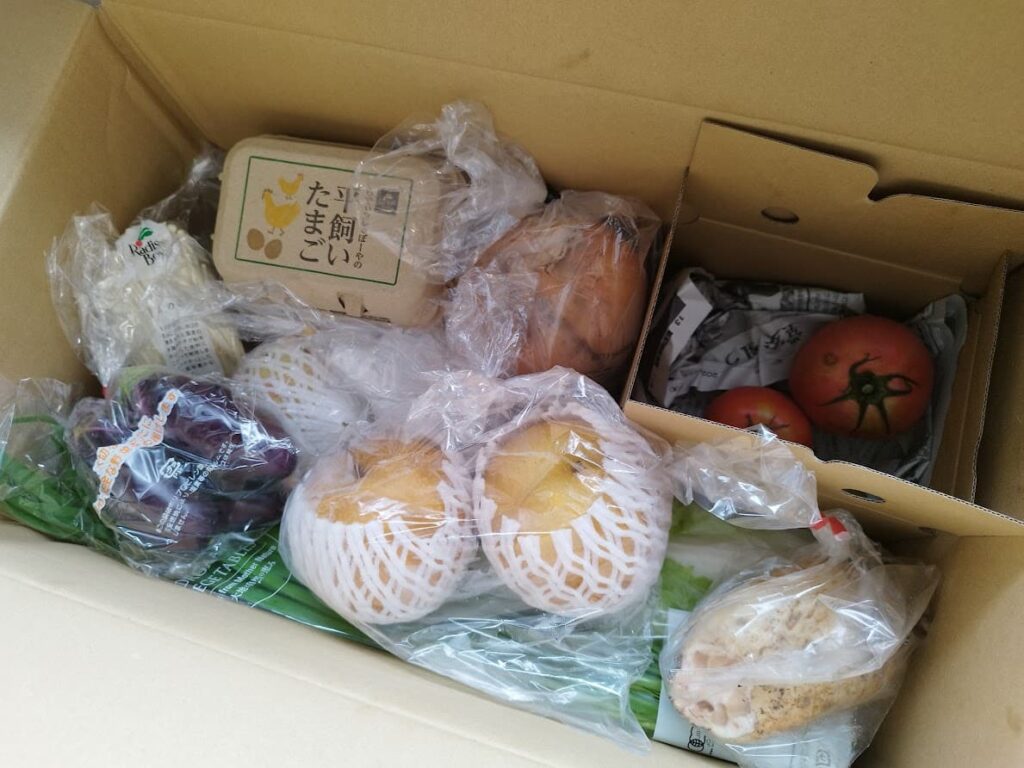 らでぃっしゅぼーや野菜BOX