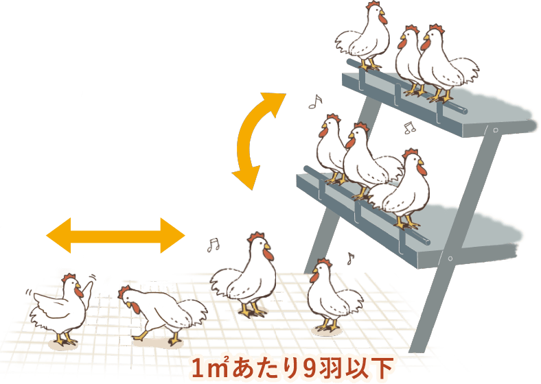 平飼いのエイビアリー方式