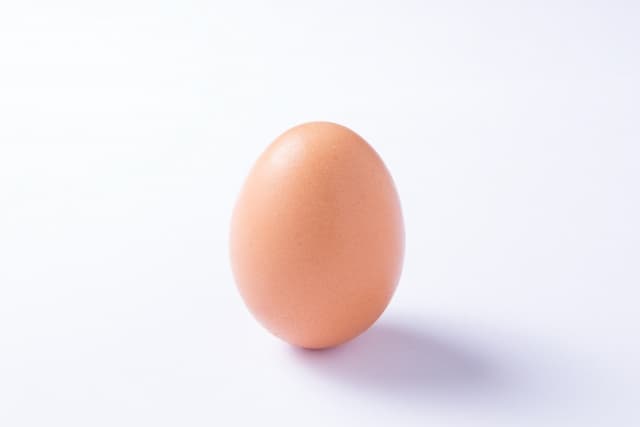 egg