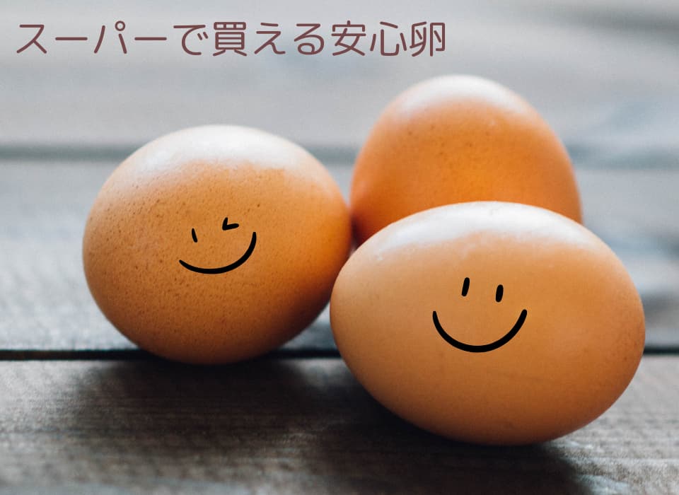 safety-egg